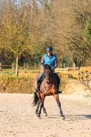 Vente de cheval : FIRST