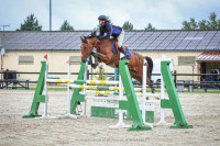 Vente de cheval : Flash Back du Frene