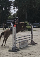 Vente de poney