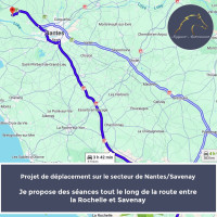 Soins Energ�tiques pour chevaux - Pratique Holistique, Accompagnement