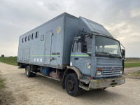 Camions chevaux