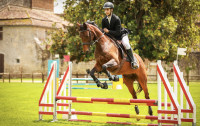 Vente de cheval : Glorieuse DVILERETS
