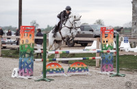 Vente de cheval : Erbo 