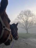 Pension de propri�taires