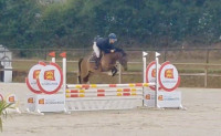 Vente de poney