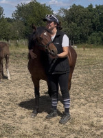 Vente de poney