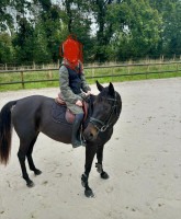 Vente de cheval : Isis 