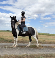 Vente de poney
