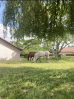 Pension de propri�taires