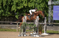 Vente de cheval : Happy du Banney 