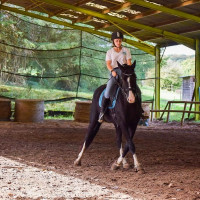 Vente de cheval : Sancisca 