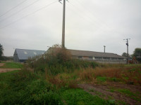 Vente Ecuries de propri�taires