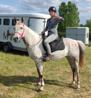 Vente de cheval : Oswanne d'hemy 