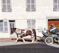 Vente de cheval : Kamlia