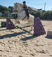 Vente de cheval : Fillot 