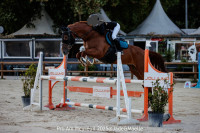 Vente de cheval : Gravina de Sully 