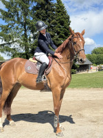 Vente de cheval : Legende