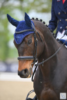 Vente de cheval : It's Time