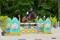 Vente de cheval : Free style d�adriers 
