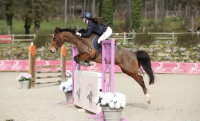 Vente de poney