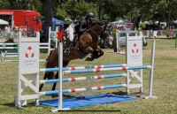 Vente de cheval : Jappeloup des Haies
