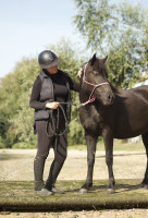 Vente de poney
