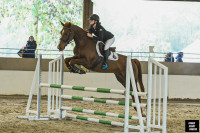 Vente de cheval : CASTING DE REUILLARD