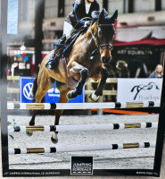Vente de cheval : Broadway Blue