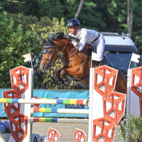 Vente de cheval : Ipik Saint Clair