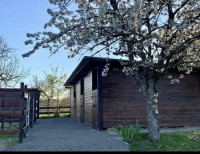 Pension pour chevaux 