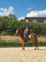 Vente de poney
