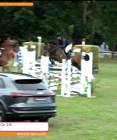 Vente de cheval : Jailhouse Rock Zip