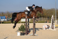 Vente de cheval : Coradina des Rouges Z