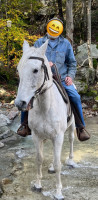 Vente de cheval : Unnka