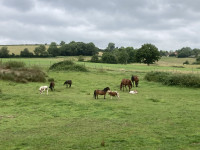 Pension de propri�taires