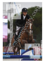 Vente de poney
