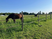 Pension de propri�taires