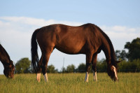 Pension de propri�taires