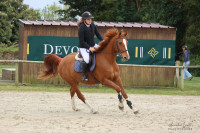 Vente de cheval : Kraker