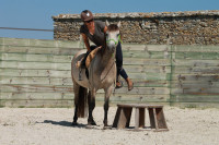 D�bourrage et �ducation du jeune cheval