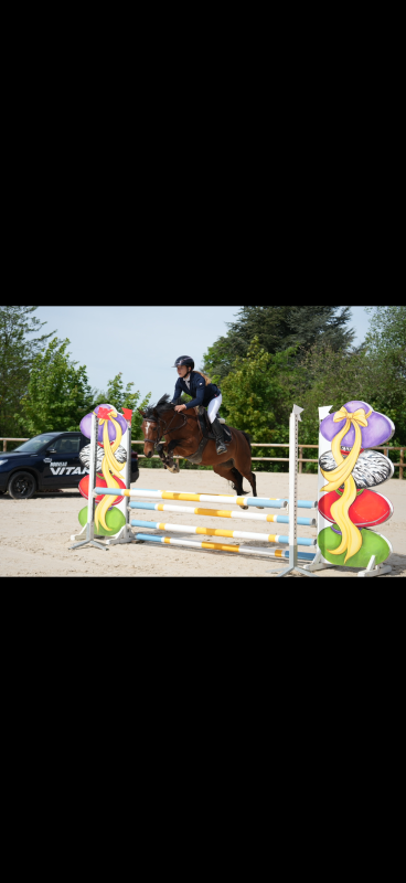 Vente de poney