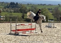 Vente de poney