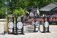 Vente de cheval : Irano d�Alco 