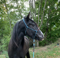 Autres �quipements