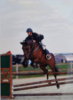 Vente de cheval : Glorius de codre