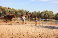 Vente de cheval : Isi d�aure