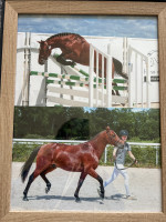 Vente de poney