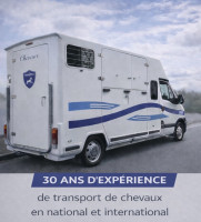 Transport et cours chevaux 95