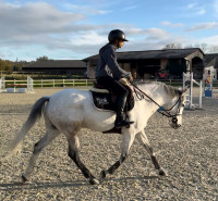 Vente de poney