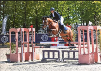Vente de poney